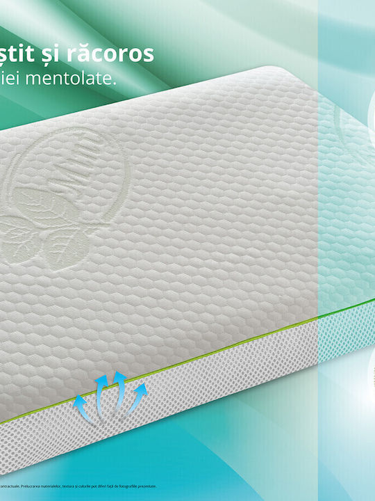 Green Future Perna Pat Latex 40x60cm