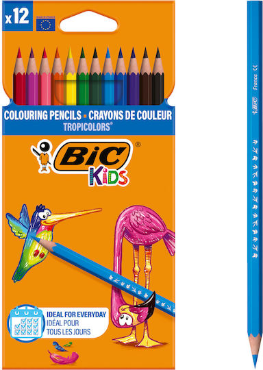 BIC Kids Tropicolors 2 Colored Pencil Set Package of 1 packages