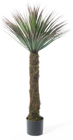 Γιούκα Εξωτερικού Χώρου 110cm Supergreens