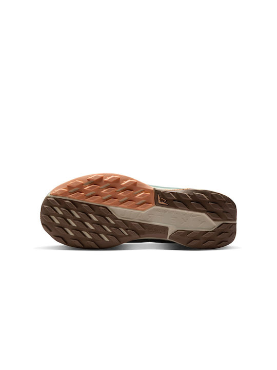 Pegasus Trail 5 Sport Shoes Trail Running Βεραμάν