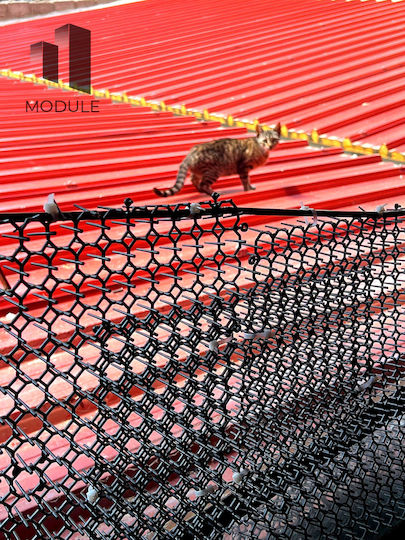 Module Set Abwehrspitzen Katzen 122gr 0.38x0.38m