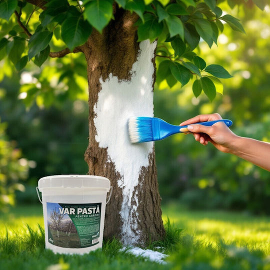 White Tree Grafting Paste Garden 5 Kg Bucket