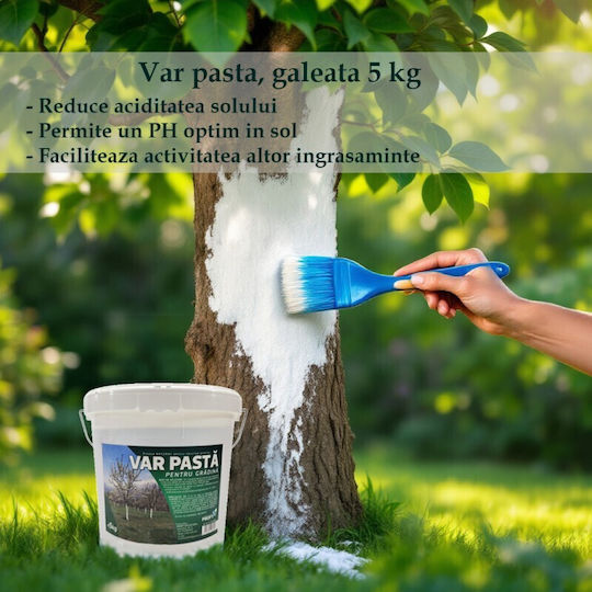 White Tree Grafting Paste Garden 5 Kg Bucket