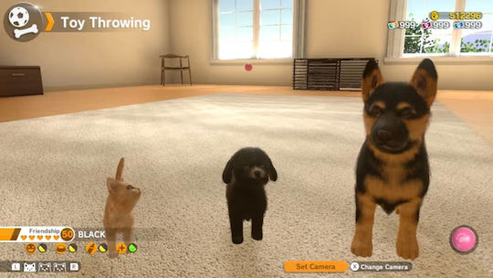 Little Friends: Dogs & Cats (Cod într-o cutie) Joc pentru Switch