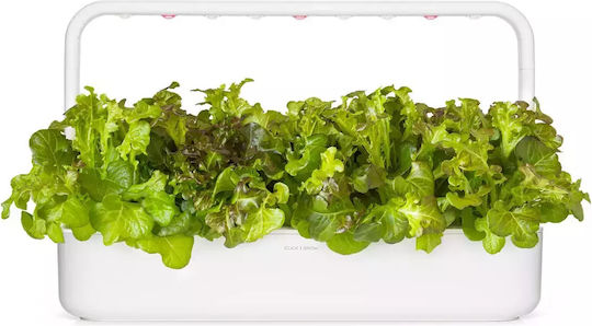 Click & Grow Smart Refill Red Oakleaf Lettuce 3pcs