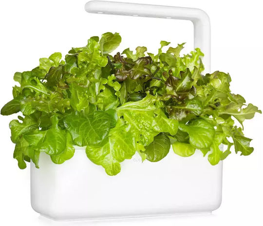 Click & Grow Smart Refill Red Oakleaf Lettuce 3pcs