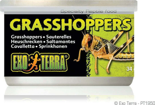 Exo Terra Hrana pentru reptile EX-9501 34gr