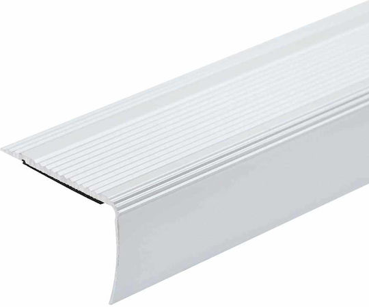 Vidaxl Stair Edge Protectors 30 Pieces Silver 67 Cm Aluminum