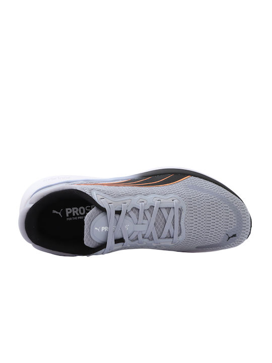 Scend Pro Sport Shoes Running Gray