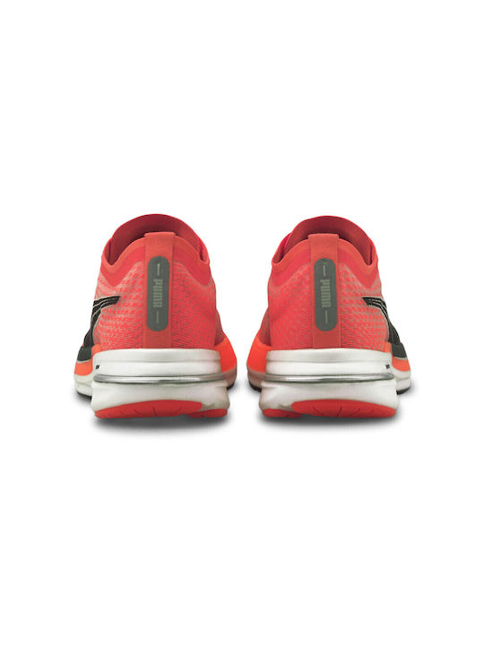 Deviate Nitro Sport Shoes Running Red