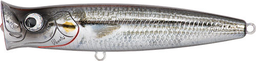 Artificial Fishus Lurenzo Ubuntu Popper 7cm Mr Matt Raigyo