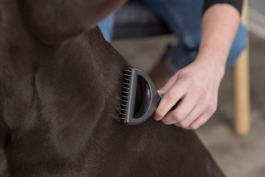 Trixie Universal Comb Medium Dogs for Coat Grooming