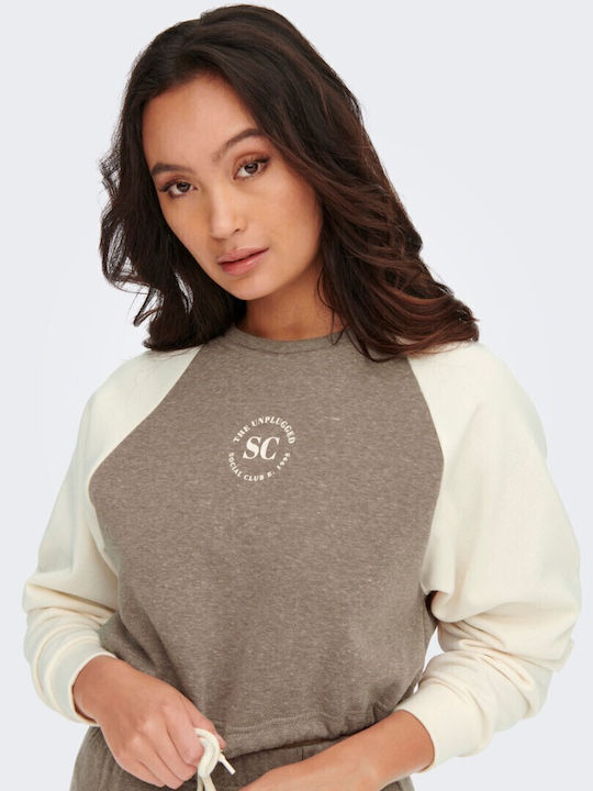 Cropped Women's Sweatshirt Brown