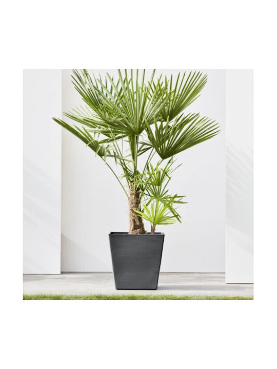 Ecopots Rotterdam Γλάστρα Πλαστική Μαύρο 50x50x48εκ.