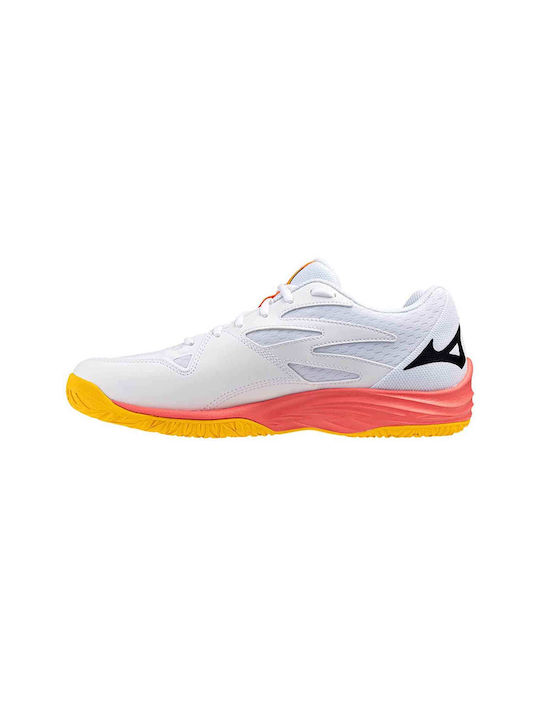 Mizuno