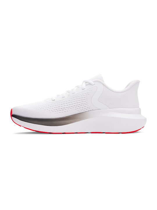 Charged Rogue 5 Sport Shoes Running White