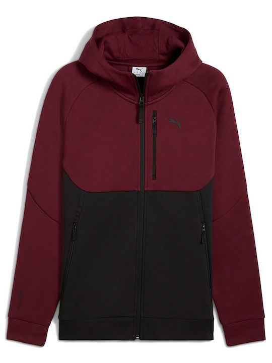 Sweatshirt with Hood Burgundy