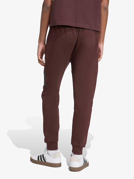 Big Logo Pantaloni de trening Maro