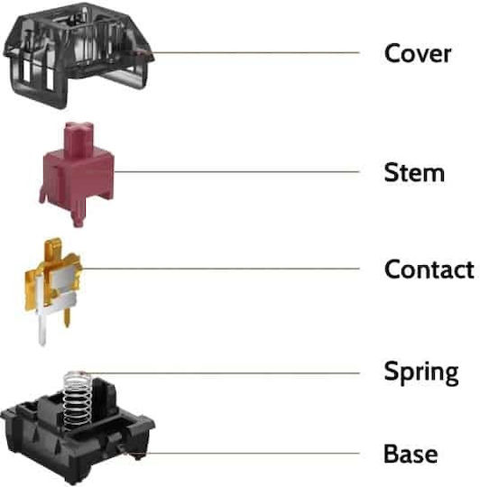 Speed Switches Πληκτρολογίου G144 Tactile 110τμχ 5-pin
