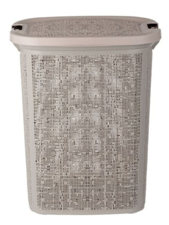 Plastic Laundry Basket 46x37x57.5cm Brown