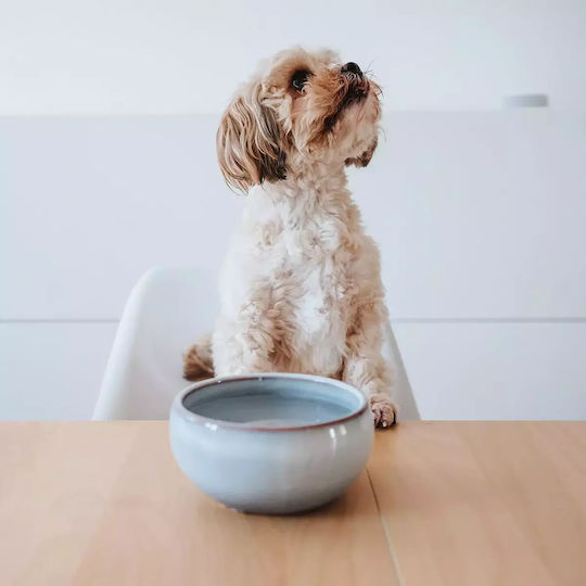 Hunter Ceramic Bowl Food & Water for Dog & Cat with Base 310ml