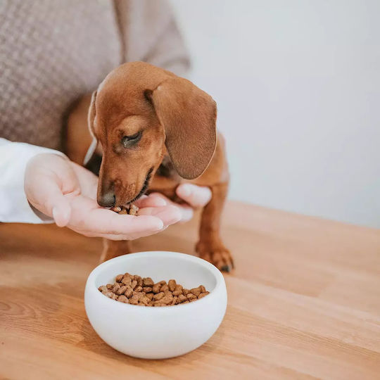 Hunter Ceramic Bowl Food & Water for Dog & Cat with Base 310ml
