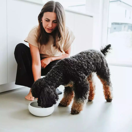 Hunter Ceramic Bowl Food & Water for Dog & Cat with Base 550ml