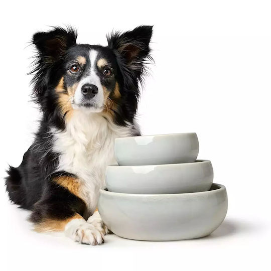 Hunter Ceramic Bowl Food & Water for Dog & Cat with Base 1.5lt