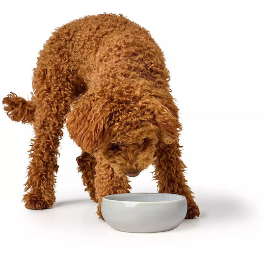 Hunter Ceramic Bowl Food & Water for Dog & Cat with Base 310ml