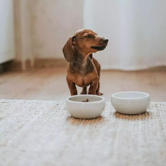 Hunter Ceramic Bowl Food & Water for Dog & Cat with Base 550ml