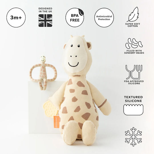 Matchstick Monkey Μασητικό Οδοντοφυΐας με Νερό Χωρίς BPA για 3 m+