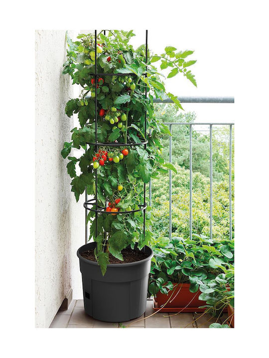 Γλαστράκι Tomato Grower, Y31,5x∅39,2εκ