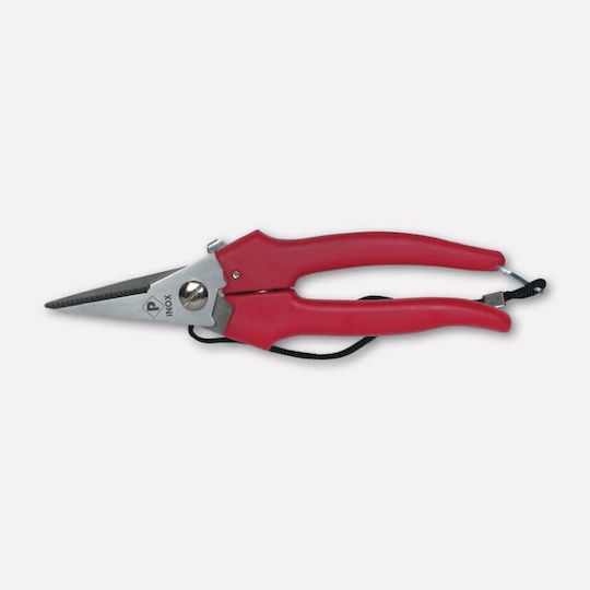 Paolucci Coltellerie 366 Gartenschere Ernte 19cm