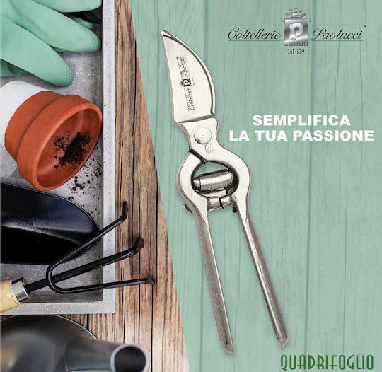 Paolucci Coltellerie 168 Baumschere Länge 23cm