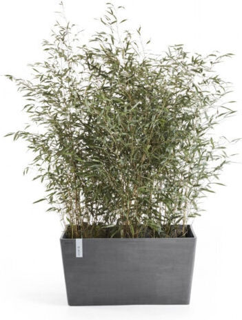 Ecopots Paris