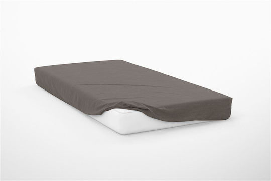 Dimcol für Einzelbett 100x200+30cm mit Gummizug Exotic Line Mocha