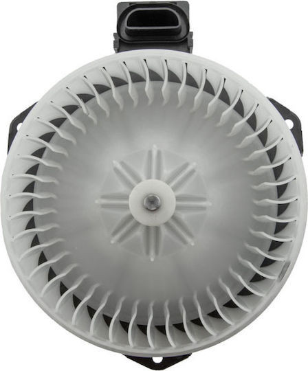 NTY Car Bodywork Spare Part for Toyota Yaris / Verso