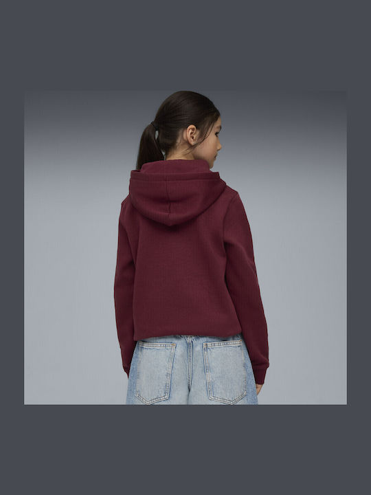 Kids Sweatshirt with Hood Burgundy Hoodie Fl