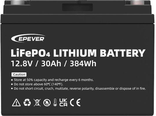 Epsolar Photovoltaik-Batterie Lithium 12V (08.03.0037)