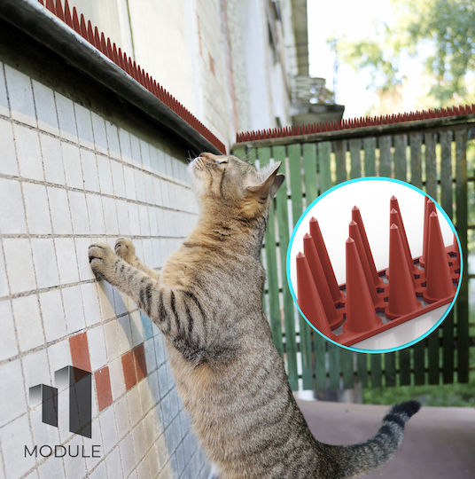 Module Σετ 48 Τμχ Ακίδες Απώθησης Πουλιών / Γατών 0.5x0.05m