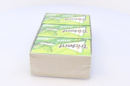 Trident Chewing Gum With Spearmint Flavour 12pcs 27gr