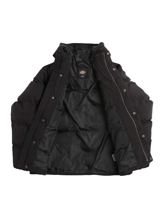 Dickies Dickies