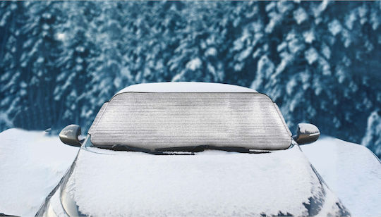 Dunlop All Season Parasolar Auto