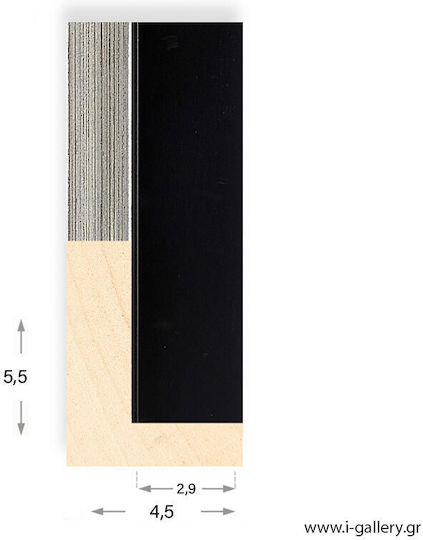 I-gallery Photo Frame with Silver Wooden Frame