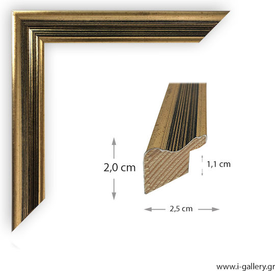 I-gallery Wooden Photo Frame with Gold Frame 2010-03