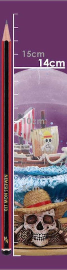 Nemesis Now One Piece Snow Globe Fan Shop Merchandise Replica Item