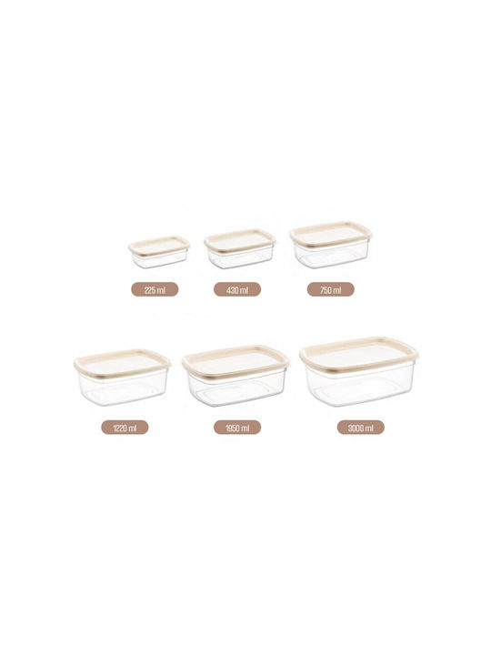 Viosarp Set Plastic Transparent Lunch Boxes 6 Pieces