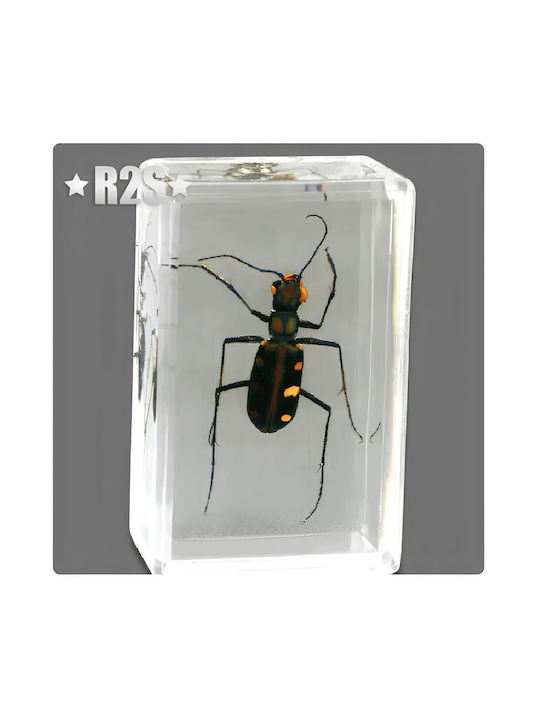 Dekorative Miniatur