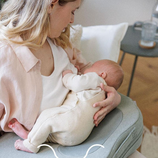 Inglesina Pregnancy & Breastfeeding Pillow Pink