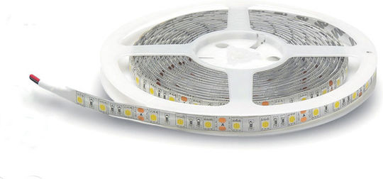 Lucas Αδιάβροχη Ταινία LED 24V